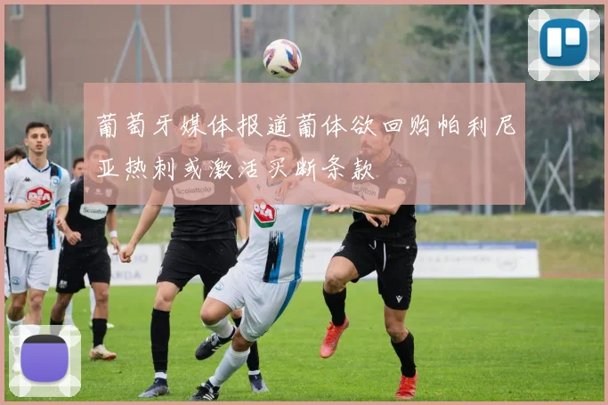 葡萄牙媒体报道葡体欲回购帕利尼亚热刺或激活买断条款